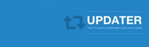 This plugin updates plugins and WordPress core